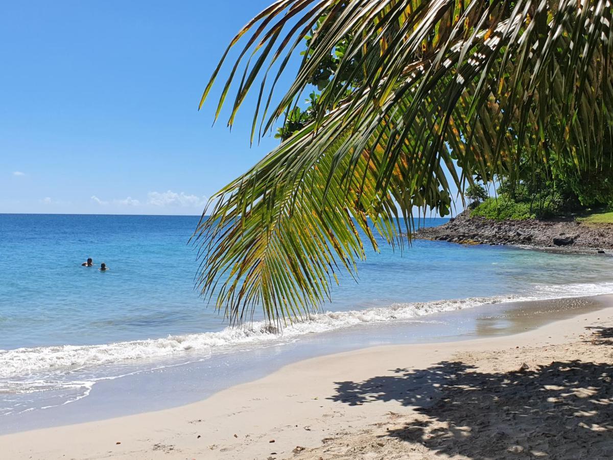 Ti Oasis Trinidad, Studio Vue Mer A Pierre & Vacances Sainte-Luce Εξωτερικό φωτογραφία